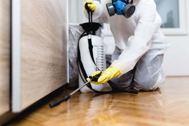 Best Pest Prevention Services  in Lamont, CA