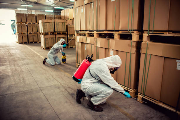 Best Commercial Pest Control Services  in Lamont, CA