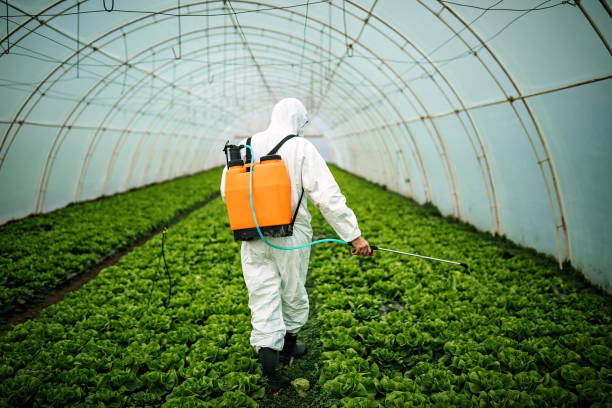 Best Emergency Pest Control  in Lamont, CA