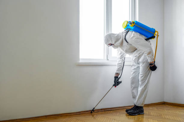 Best Bed Bug Extermination  in Lamont, CA