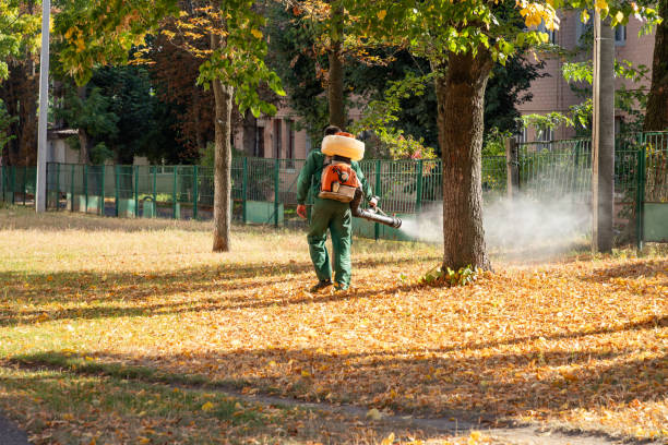 Best Flea Control Services  in Lamont, CA
