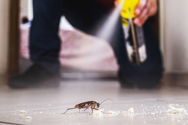 Best Cockroach Control Services  in Lamont, CA